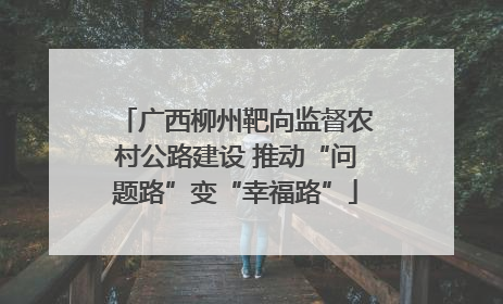 广西柳州靶向监督农村公路建设 推动“问题路”变“幸福路”