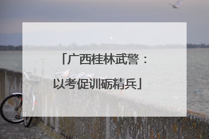 广西桂林武警：以考促训砺精兵