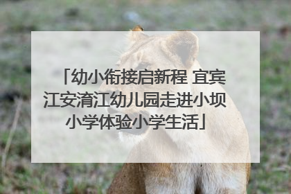 幼小衔接启新程 宜宾江安淯江幼儿园走进小坝小学体验小学生活