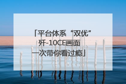 平台体系“双优” 歼-10CE画面一次带你看过瘾