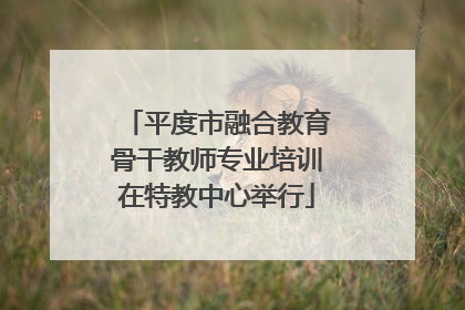 平度市融合教育骨干教师专业培训在特教中心举行
