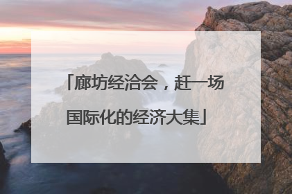 廊坊经洽会，赶一场国际化的经济大集