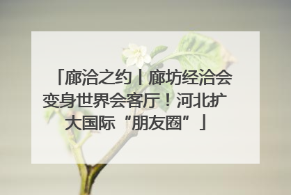 廊洽之约丨廊坊经洽会变身世界会客厅！河北扩大国际“朋友圈”