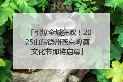 引爆全城狂欢！2025山东德州燕京啤酒文化节即将启幕