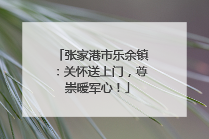 张家港市乐余镇：关怀送上门，尊崇暖军心！