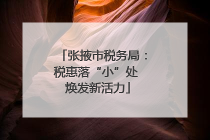 张掖市税务局：税惠落“小”处 焕发新活力