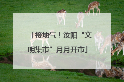 接地气！汝阳“文明集市”月月开市
