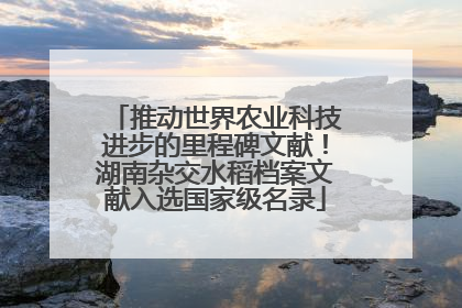 推动世界农业科技进步的里程碑文献！湖南杂交水稻档案文献入选国家级名录