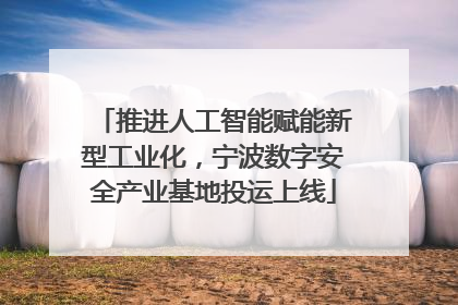 推进人工智能赋能新型工业化，宁波数字安全产业基地投运上线
