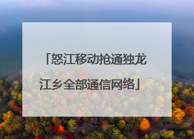 怒江移动抢通独龙江乡全部通信网络