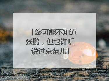 您可能不知道张鹏，但也许听说过京范儿