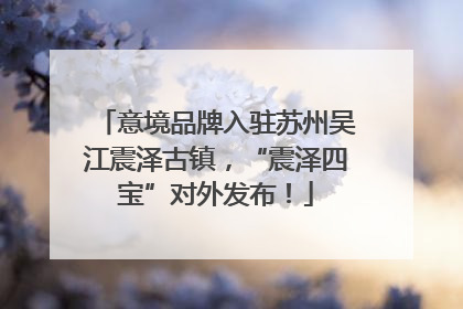 意境品牌入驻苏州吴江震泽古镇，“震泽四宝”对外发布！
