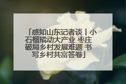 感知山东记者谈丨小石榴撬动大产业 枣庄破局乡村发展难题 书写乡村共富答卷