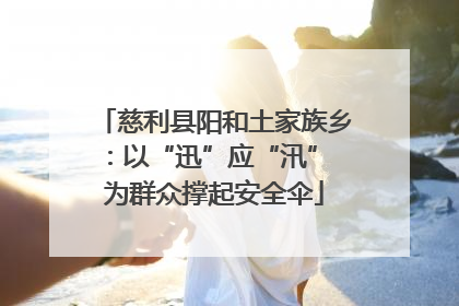 慈利县阳和土家族乡：以“迅”应“汛” 为群众撑起安全伞