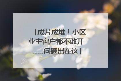 成片成堆！小区业主窗户都不敢开……问题出在这
