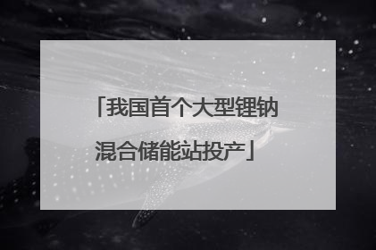 我国首个大型锂钠混合储能站投产