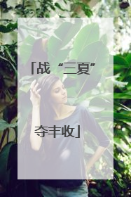 战“三夏” 夺丰收