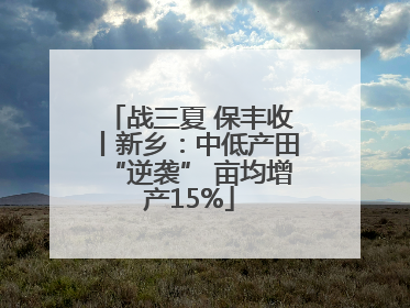战三夏 保丰收丨新乡：中低产田“逆袭” 亩均增产15%