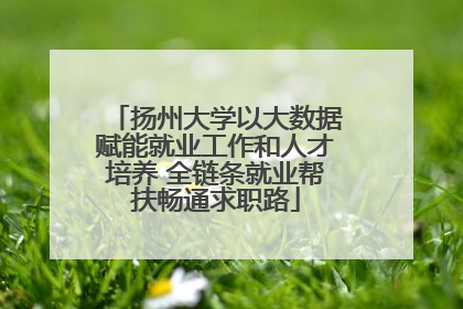 扬州大学以大数据赋能就业工作和人才培养 全链条就业帮扶畅通求职路