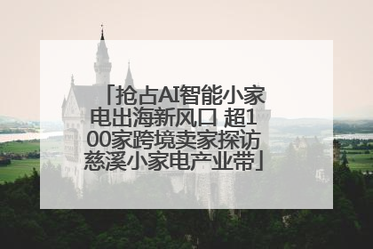 抢占AI智能小家电出海新风口 超100家跨境卖家探访慈溪小家电产业带