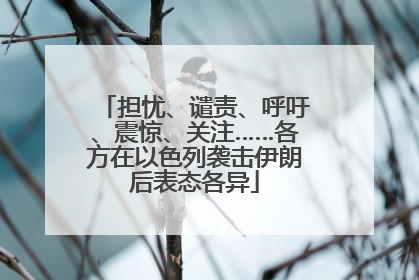 担忧、谴责、呼吁、震惊、关注……各方在以色列袭击伊朗后表态各异