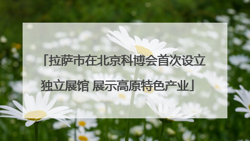 拉萨市在北京科博会首次设立独立展馆 展示高原特色产业