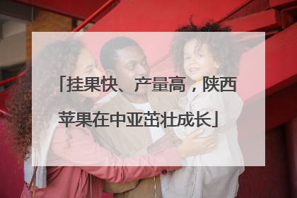 挂果快、产量高，陕西苹果在中亚茁壮成长