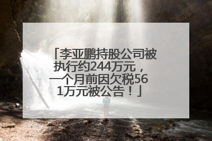 李亚鹏持股公司被执行约244万元，一个月前因欠税561万元被公告！