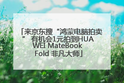 来京东搜“鸿蒙电脑拍卖” 有机会1元拍到HUAWEI MateBook Fold 非凡大师