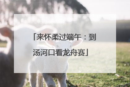 来怀柔过端午：到汤河口看龙舟赛