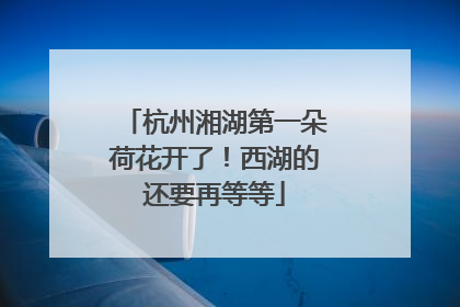 杭州湘湖第一朵荷花开了！西湖的还要再等等