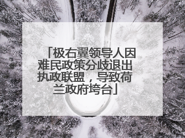 极右翼领导人因难民政策分歧退出执政联盟，导致荷兰政府垮台