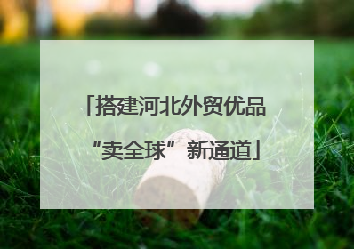 搭建河北外贸优品“卖全球”新通道
