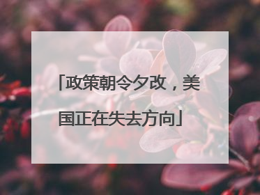 政策朝令夕改，美国正在失去方向