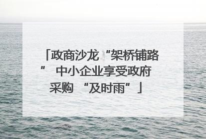 政商沙龙“架桥铺路” 中小企业享受政府采购 “及时雨”