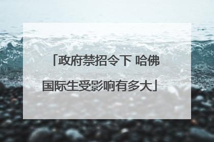 政府禁招令下 哈佛国际生受影响有多大