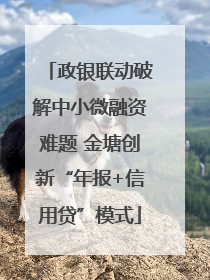 政银联动破解中小微融资难题 金塘创新“年报+信用贷”模式
