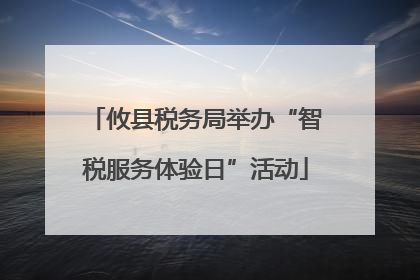 攸县税务局举办“智税服务体验日”活动