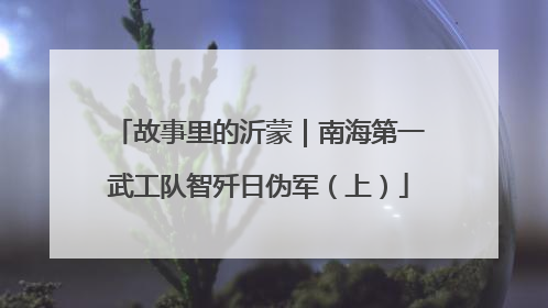 故事里的沂蒙｜南海第一武工队智歼日伪军（上）