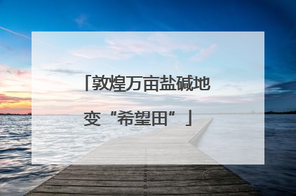 敦煌万亩盐碱地变“希望田”