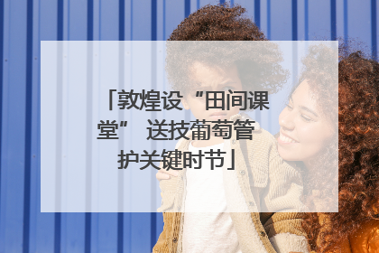 敦煌设“田间课堂” 送技葡萄管护关键时节