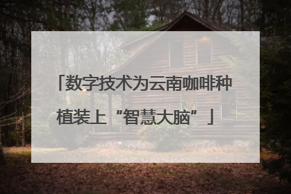 数字技术为云南咖啡种植装上“智慧大脑”