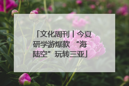 文化周刊丨今夏研学游爆款 “海陆空”玩转三亚