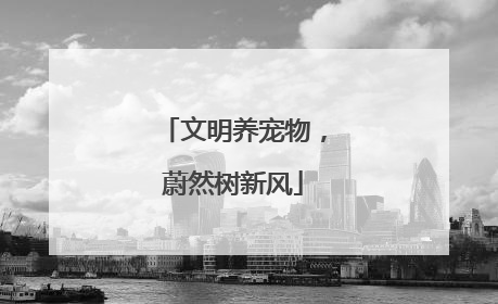 文明养宠物，蔚然树新风