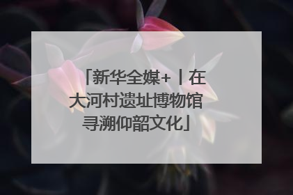 新华全媒+丨在大河村遗址博物馆寻溯仰韶文化