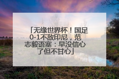 无缘世界杯！国足0-1不敌印尼，范志毅语塞：早没信心了但不甘心