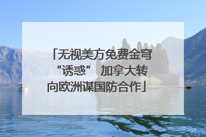无视美方免费金穹“诱惑” 加拿大转向欧洲谋国防合作