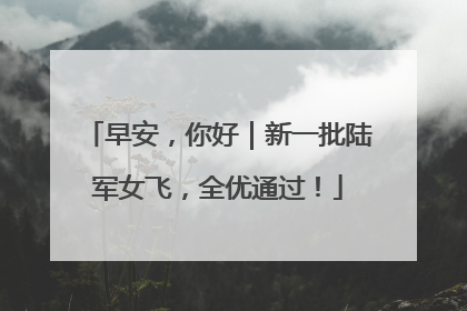 早安，你好｜新一批陆军女飞，全优通过！