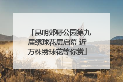 昆明郊野公园第九届绣球花展启幕 近万株绣球花等你赏