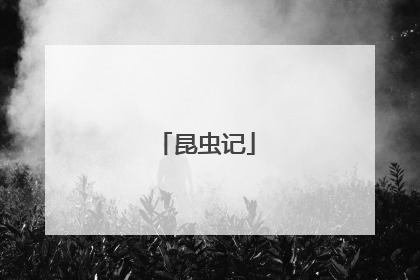 昆虫记